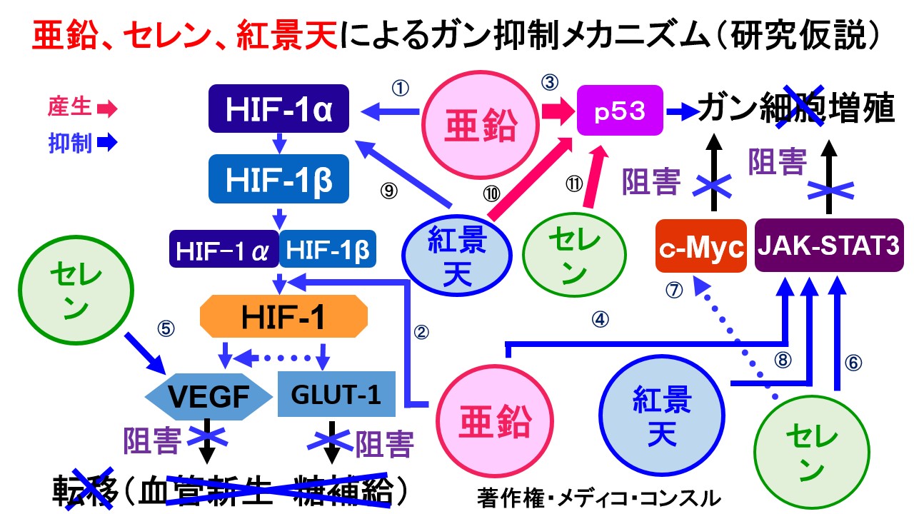 The function of Zinc,Selenium in the growth and metastasis of cancer