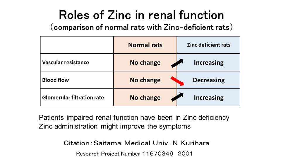 renal-en