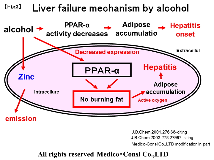 alcoholic-disorder3